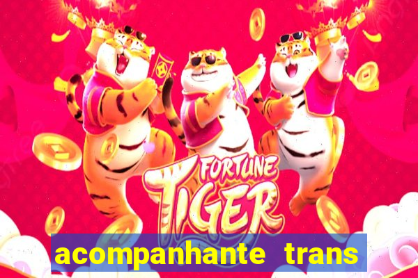 acompanhante trans em santos